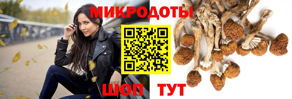как найти   Вход с VPN  Каменск-Уральский  Галлюциногенные грибы мицелий  Псилоцибиновые грибы Psilocybine cubensis 
